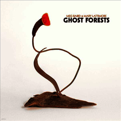 Meg Baird & Mary Lattimore — Ghost Forests (Gatefold Cover) 앨범 커버