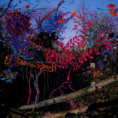 Animal Collective — Here Comes The Indian 앨범 커버