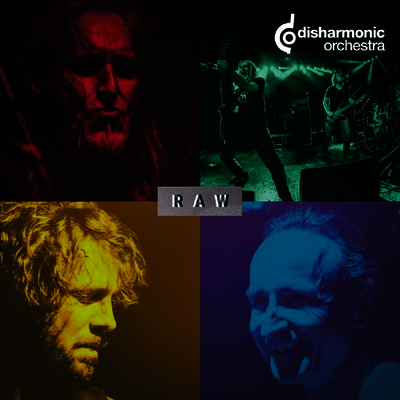 Disharmonic Orchestra - Raw (Limited Edition)(12 inch LP)