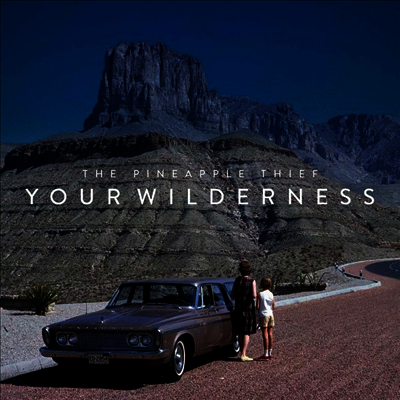 Pineapple Thief — Your Wilderness 앨범 커버
