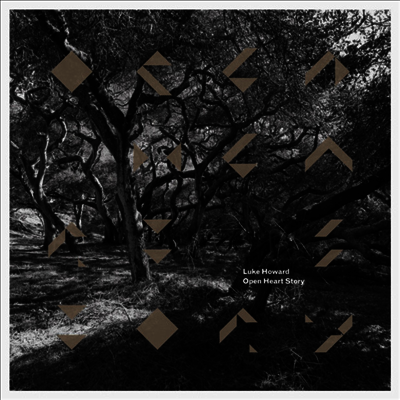Luke Howard - Open Heart Story (LP)