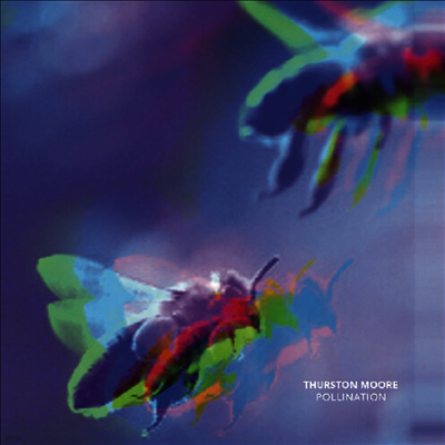 Thurston Moore — Pollination / Leave Me Alone 앨범 커버