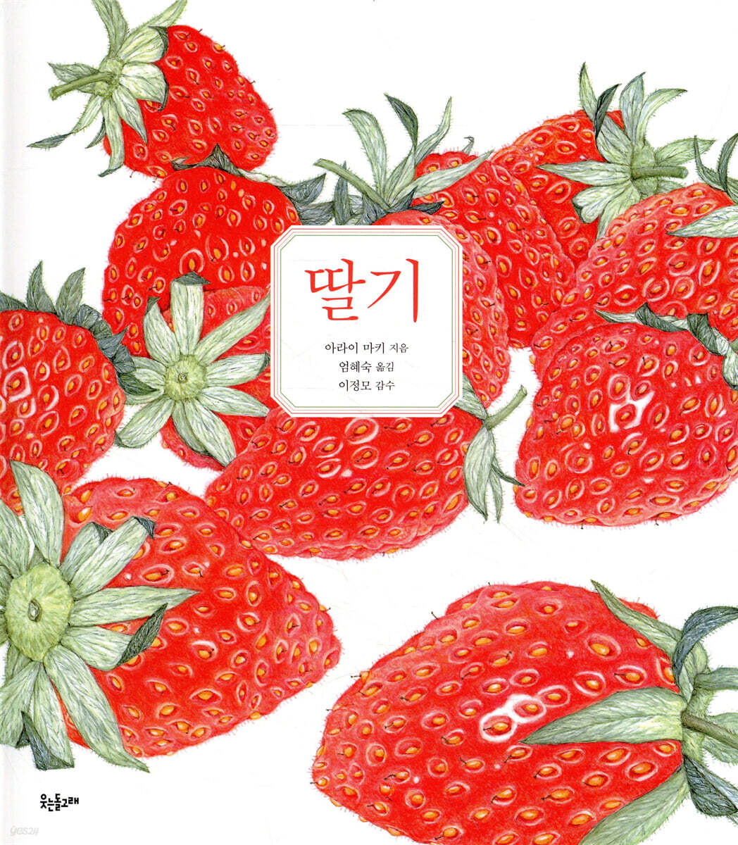 딸기