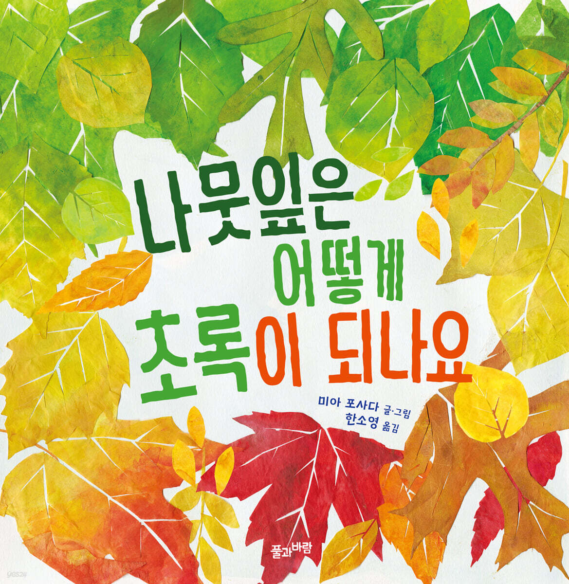 나뭇잎은 어떻게 초록이 되나요 (빅북)