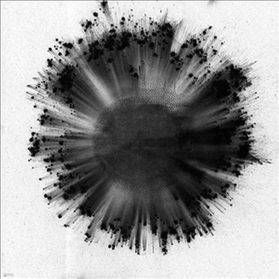 Trentemoller — Obverse (Gatefold)(Download Card) 앨범 커버