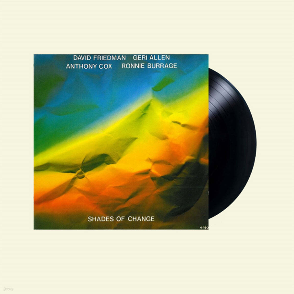 David Friedman (데이비드 프리드만) - Shades of Change [LP] 
