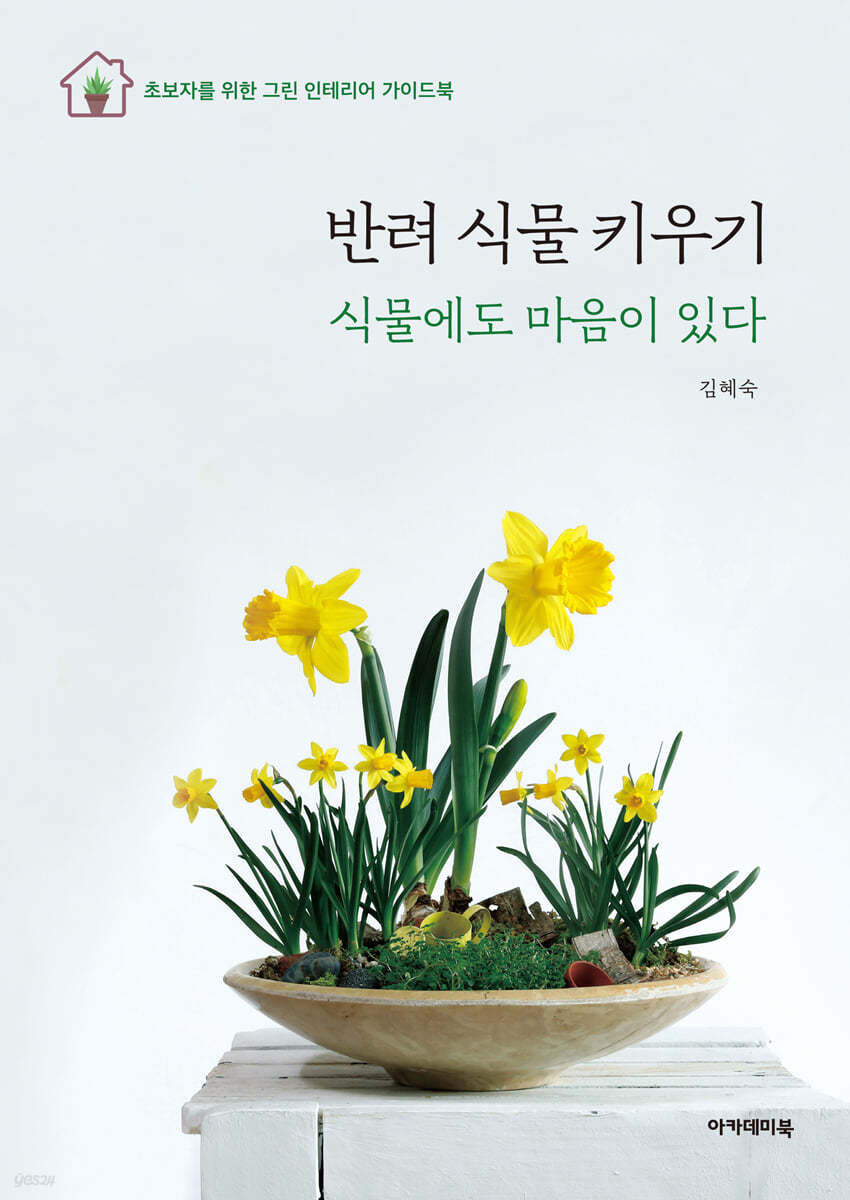 반려 식물 키우기