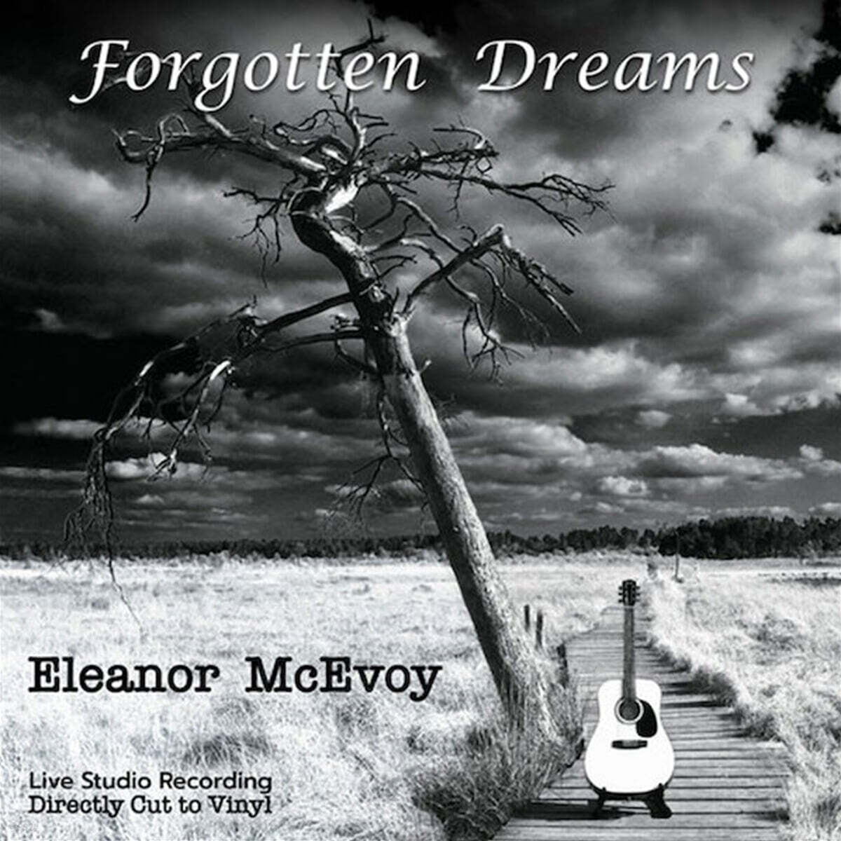 Eleanor McEvoy (엘레노어 맥어보이) - Forgotten Dreams [LP]