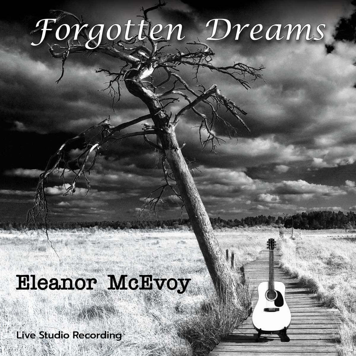 Eleanor McEvoy (엘레노어 맥어보이) - Forgotten Dreams