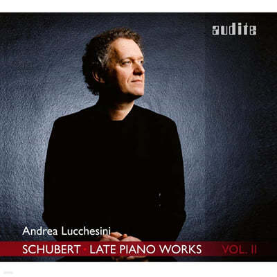 Andrea Lucchesini Ʈ: ı ǾƳ ǰ  2 (Schubert: Late Piano Works Vol. 2) 