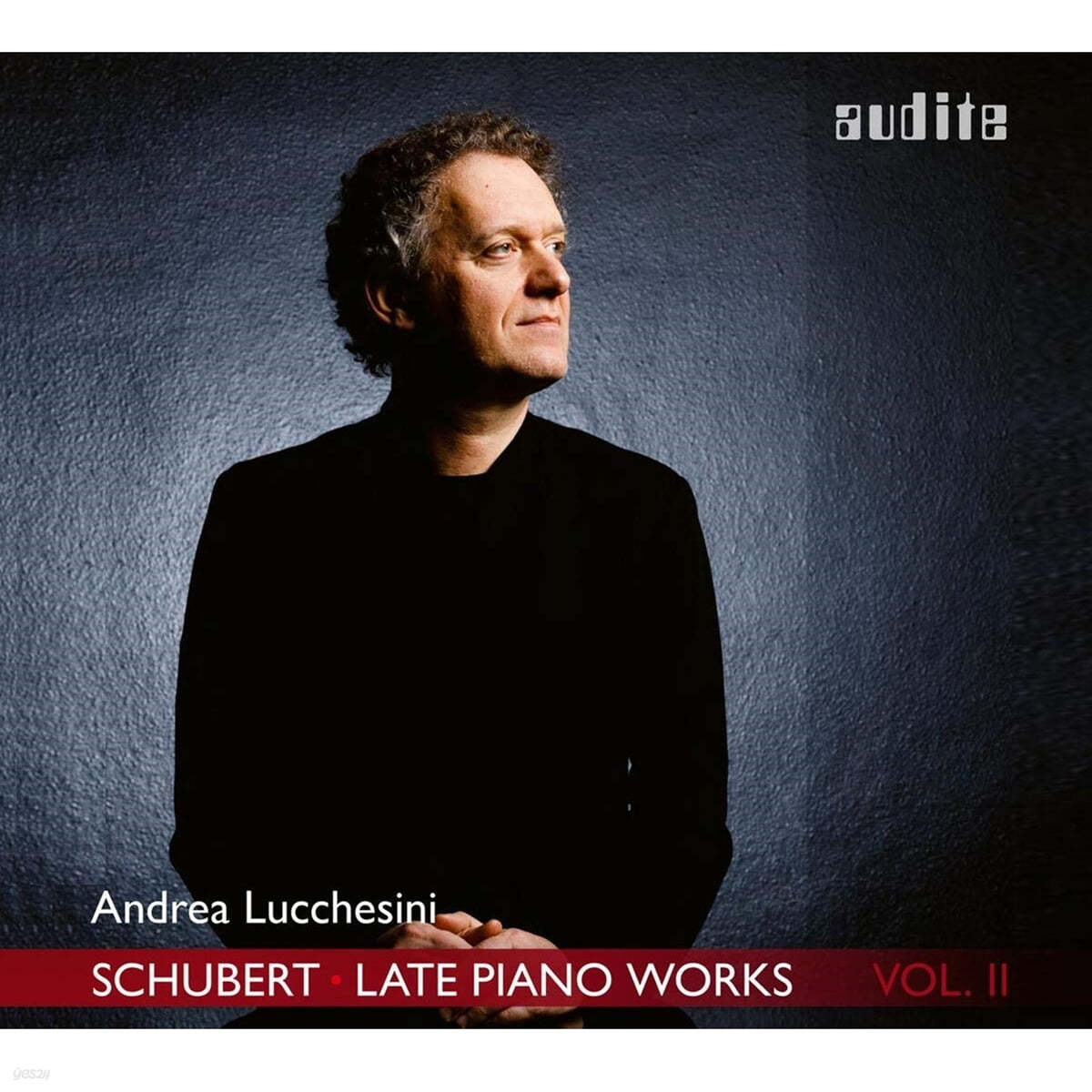 Andrea Lucchesini 슈베르트: 후기 피아노 작품 모음 2집 (Schubert: Late Piano Works Vol. 2)