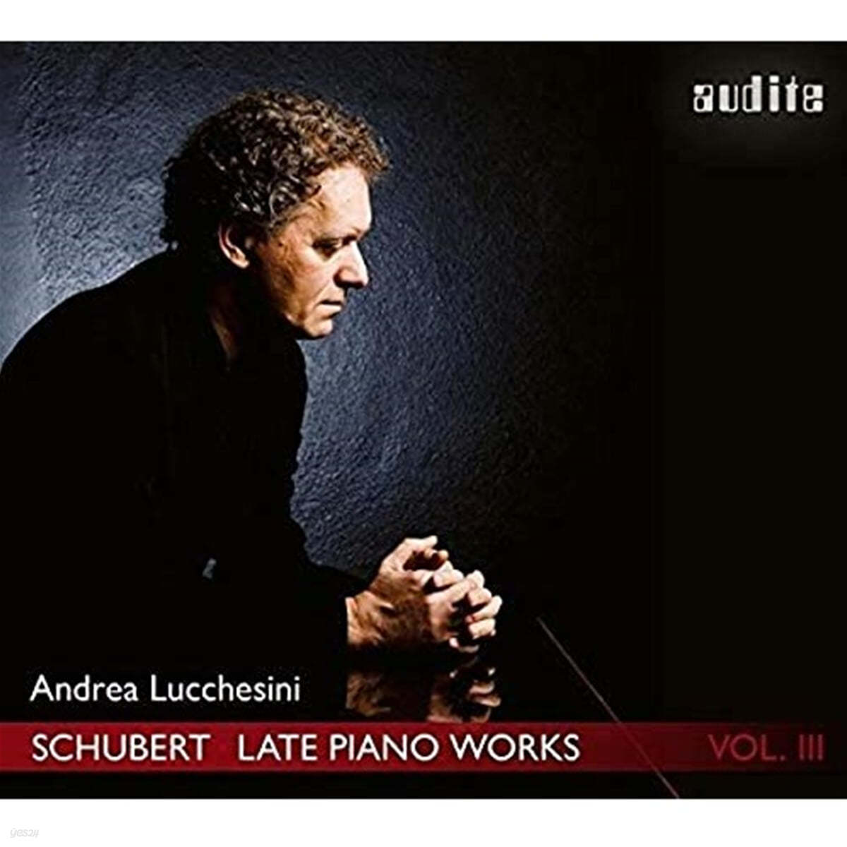 Andrea Lucchesini 슈베르트: 후기 피아노 작품 모음 3집 (Schubert: Late Piano Works Vol. 3)
