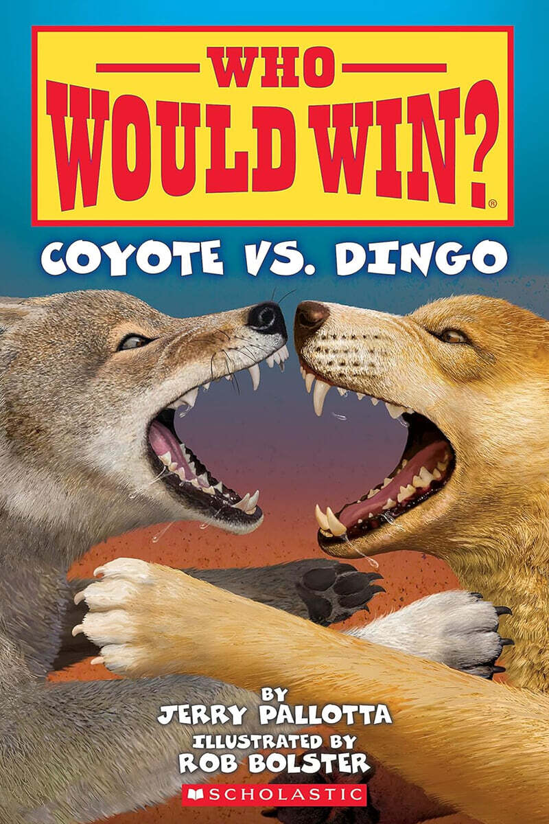 Who Would Win? : Coyote vs. Dingo