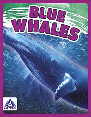 Giants of the Sea: Blue Whales