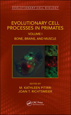 Evolutionary Cell Processes in Primates