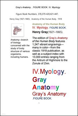 ׷ Ƴ, 4    غ.  ׸å. Grays Anatomy. IV. Myology FIGURE BOOK. by Henry Gray