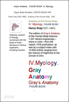 그레이 아나토미의, 제4권 근육학 근학 筋學 해부학.도해 圖解 그림책. Gray’s Anatomy. IV. Myology FIGURE BOOK. by Henry Gray
