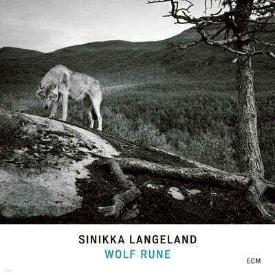 Sinikka Langeland (시니카 란게란드) - Wolf Rune 