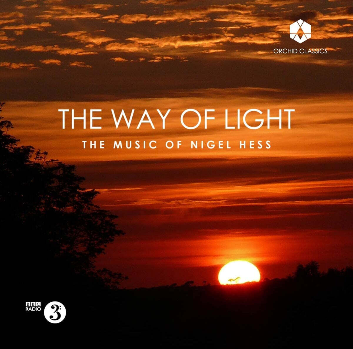Duncan Stubbs 나이젤 헤스: 빛의 길 (Nigel Hess: The Way of Light)