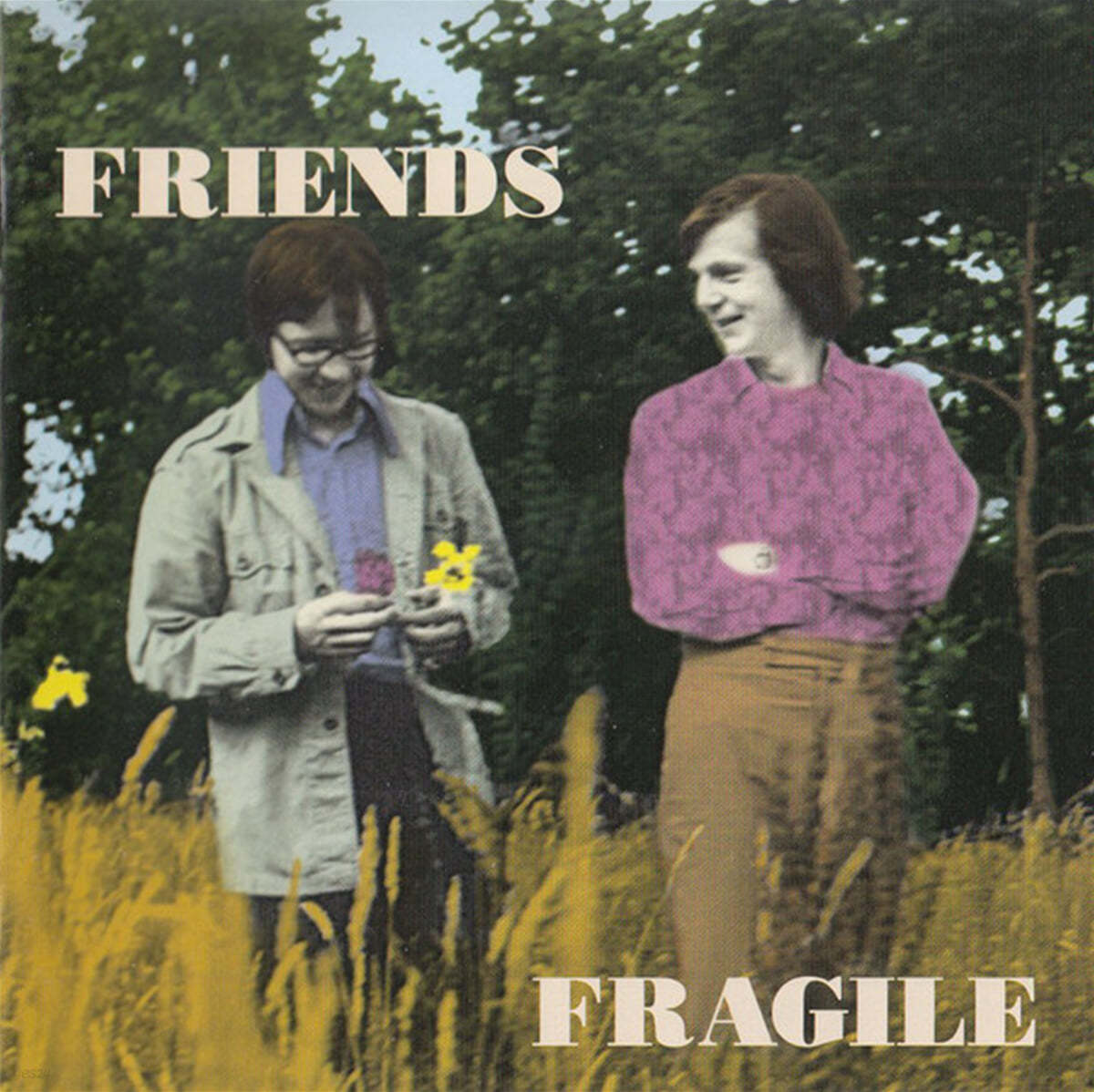 Friends (프렌즈) - Fragile