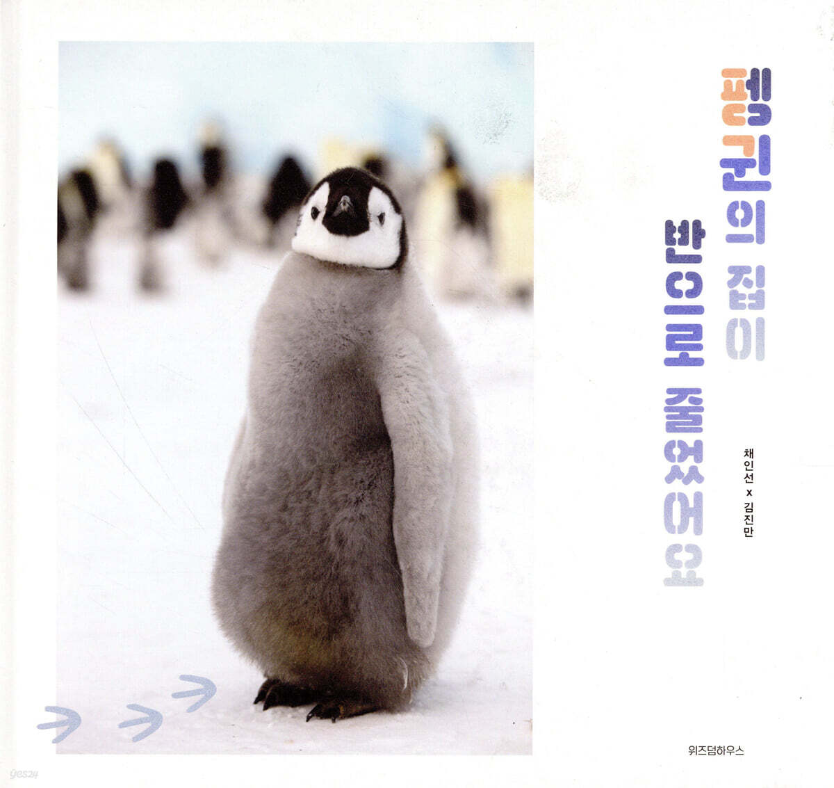 펭귄의 집이 반으로 줄었어요