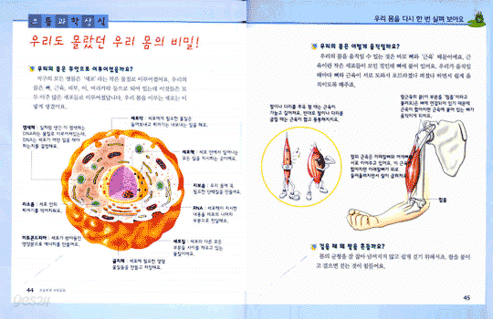 초등학생 과학동화 1학년