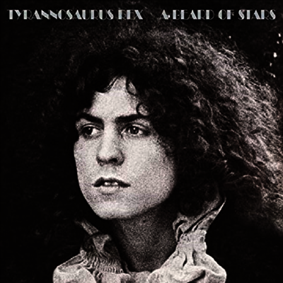 Tyrannosaurus Rex,T. Rex — A Beard Of Stars 앨범 커버