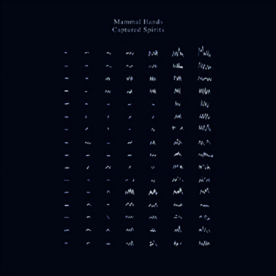 Mammal Hands — Captured Spirits (Gatefold) 앨범 커버