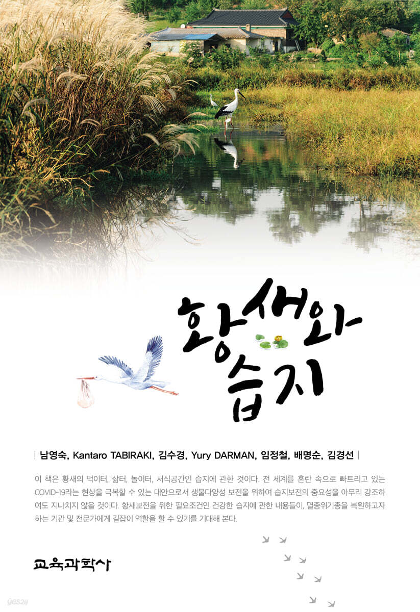 황새와 습지