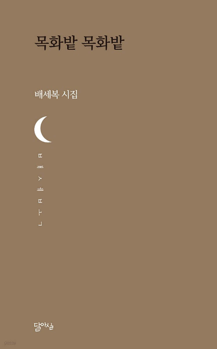 목화밭 목화밭