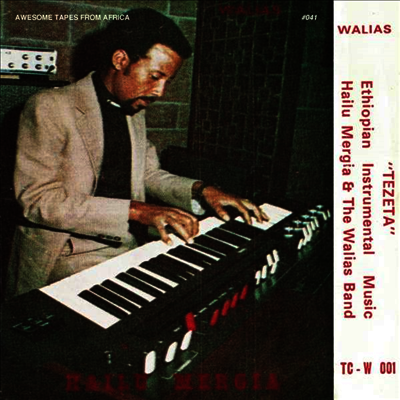 Hailu Mergia & The Walias Band — Tezeta 앨범 커버