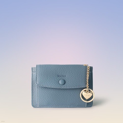 [̴ϼ Ŀ] Big pocket point wallet _ Sky blue