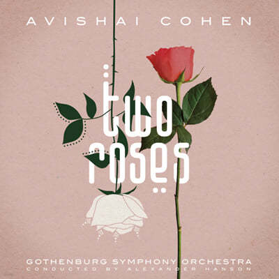Avishai Cohen (ƺ ) - Two Roses [2LP] 