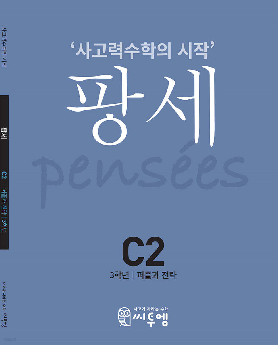 팡세 C-2 퍼즐과 전략