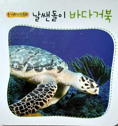 날쌘돌이 바다거북(송아리 자연동화)