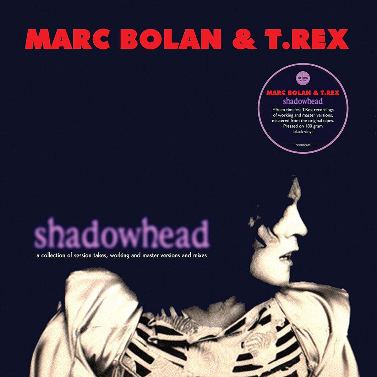 Marc Bolan & T. Rex (마크 볼란 앤 티렉스) - Shadowhead [LP]