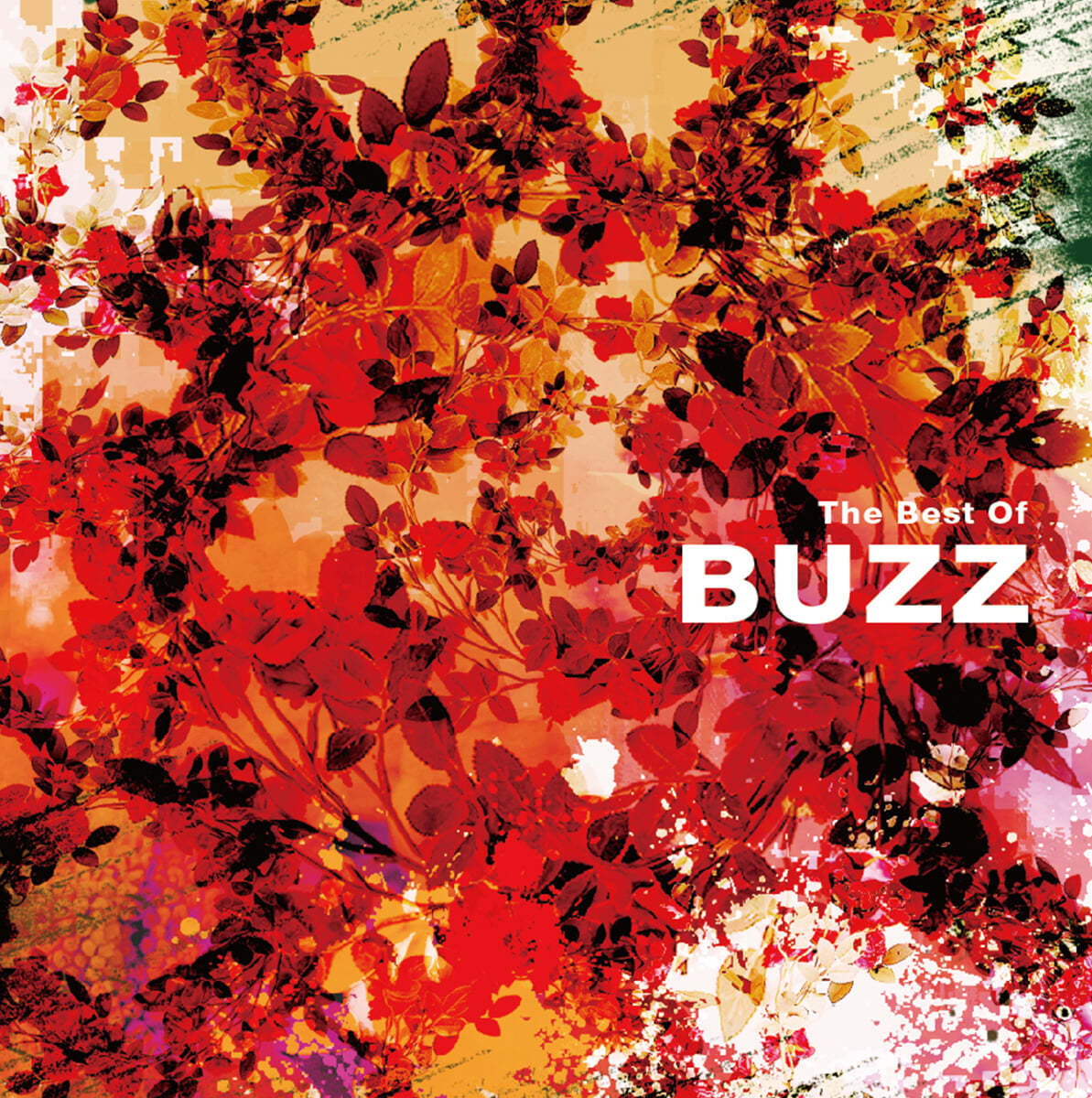 버즈 (Buzz) - The Best Of Buzz [블루 컬러 LP] 