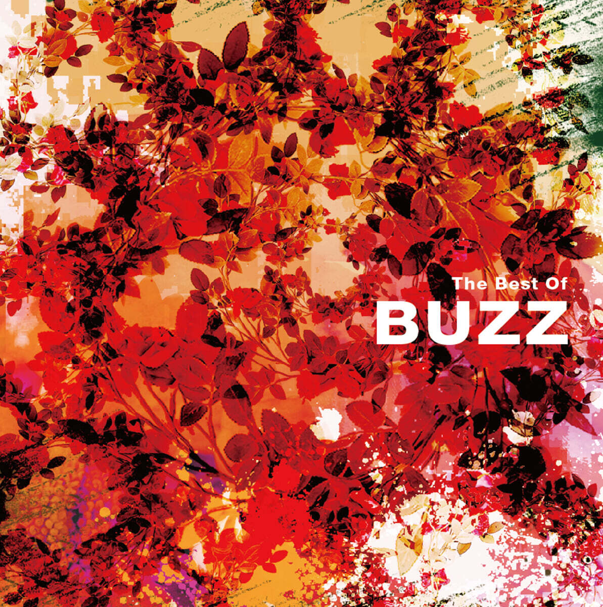 버즈 (Buzz) - The Best Of Buzz [블루 컬러 LP]