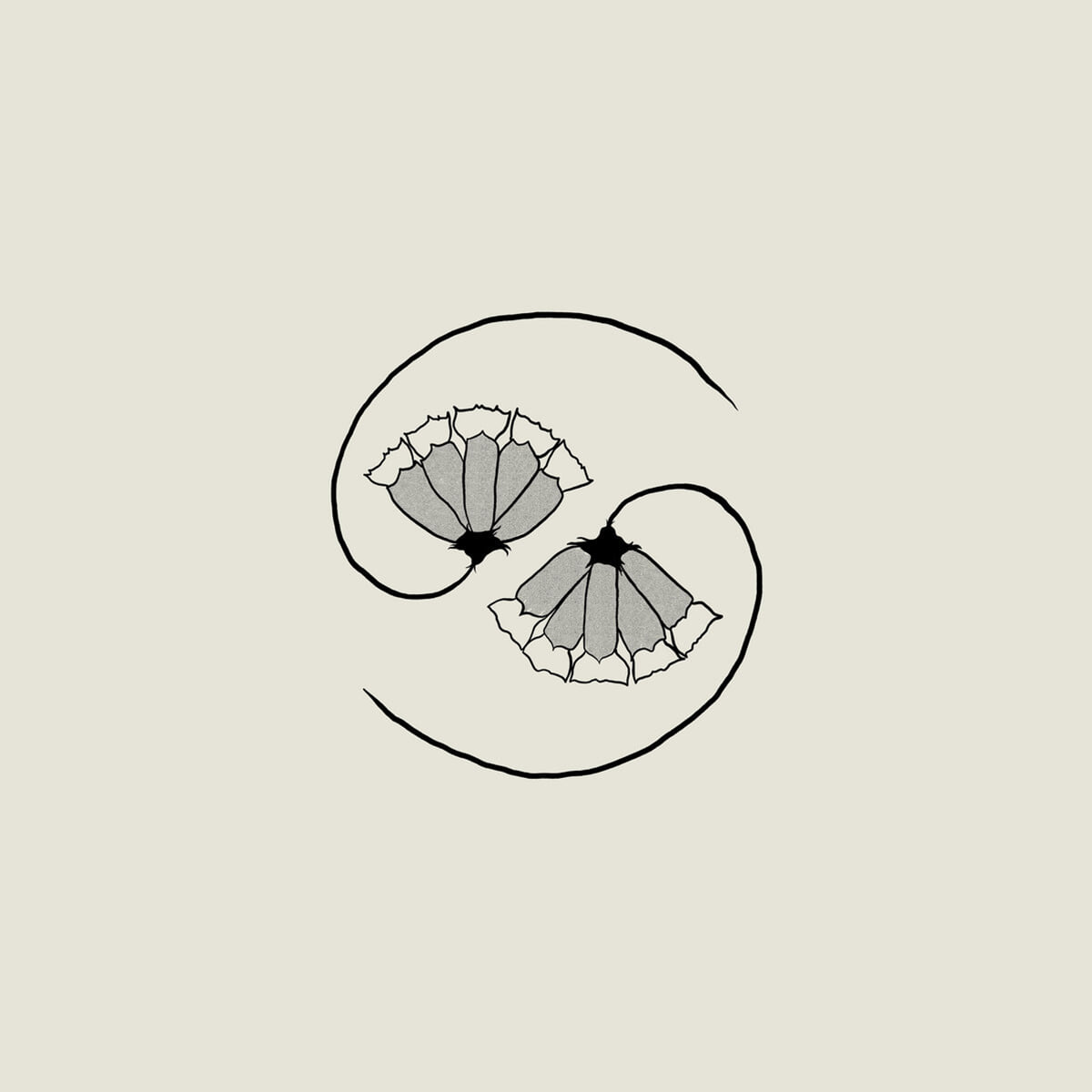 Godspeed You! Black Emperor (갓스피드 유! 블랙 엠페러) - G_d's Pee AT STATE'S END! [12인치 + 10인치 2 Vinyl]