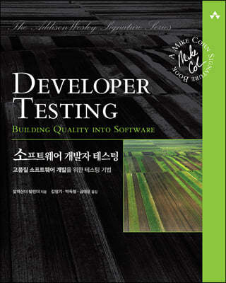 소프트웨어 개발자 테스팅