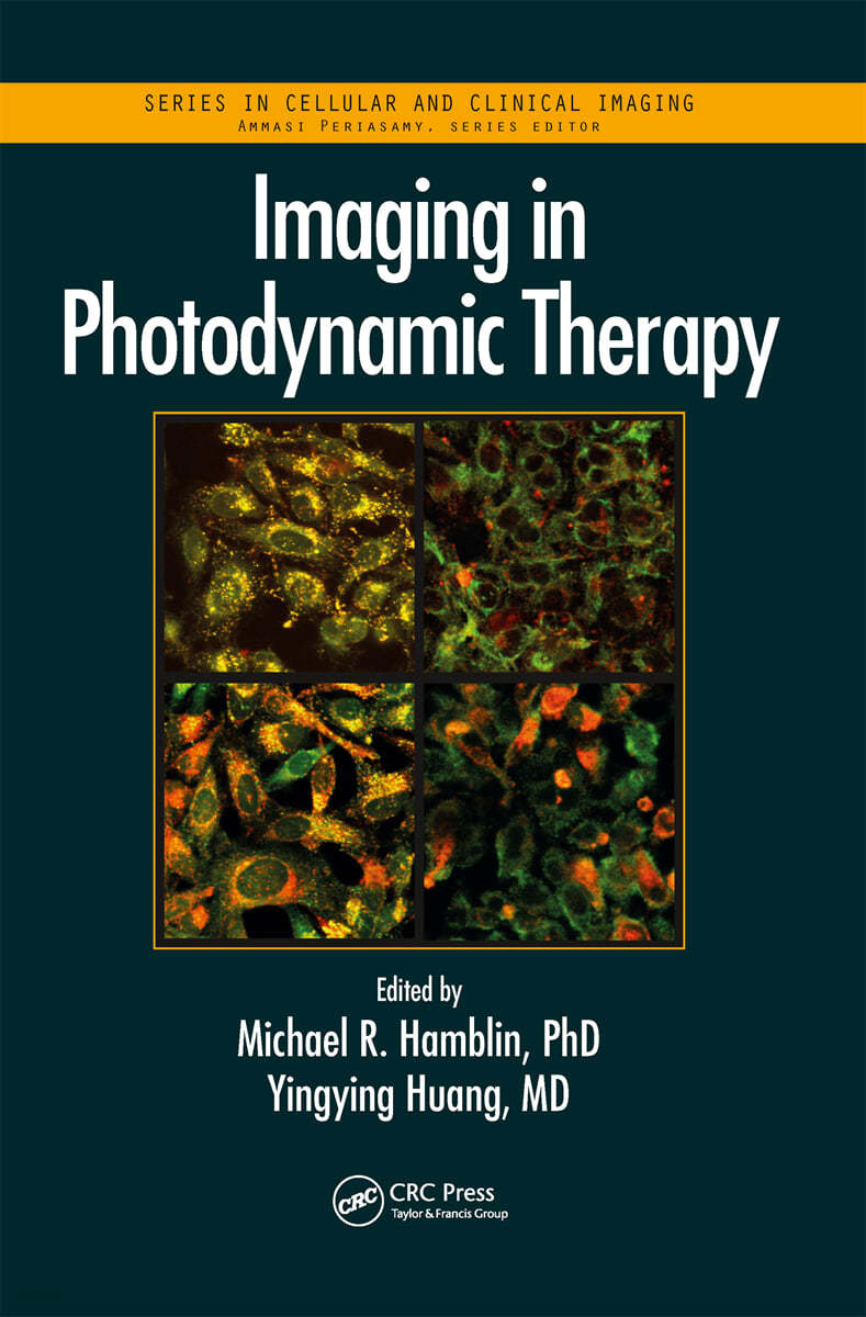 Imaging in Photodynamic Therapy