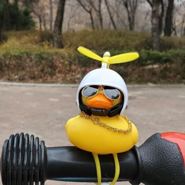 자전거에도 퀵보드에도 러버덕오리를(1+1+1 랜덤)