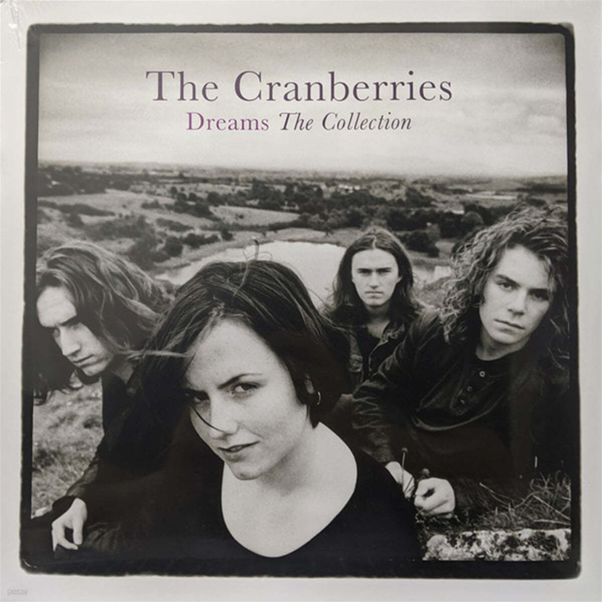 The Cranberries (크랜베리스) - Dreams: The Collection [LP] 