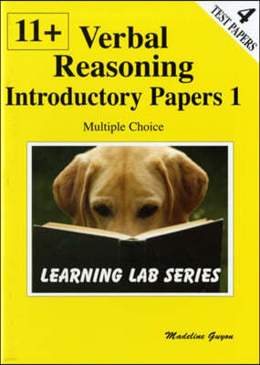 11+ Introductory Practice Papers