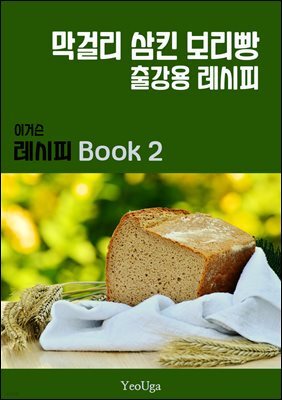 이거슨 레시피 BOOK 2