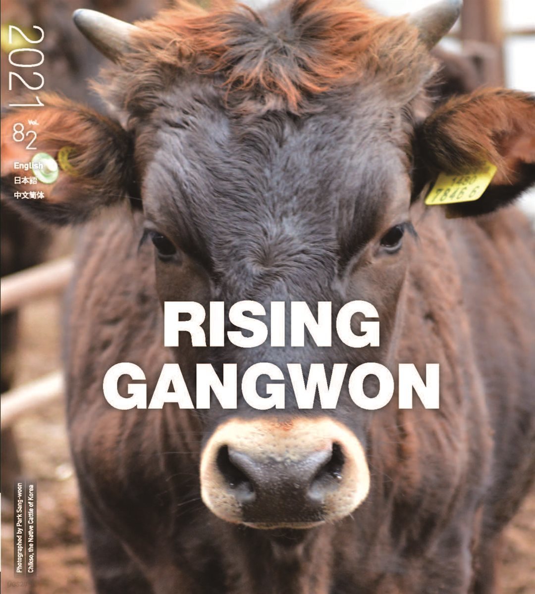 RISING GANGWON Vol. 82