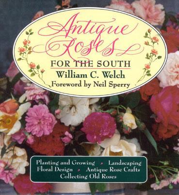 Antique Roses for the South