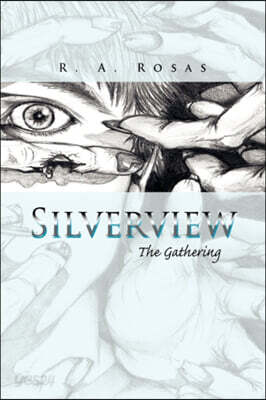 Silverview