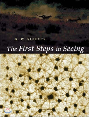 The First Steps in Seeing