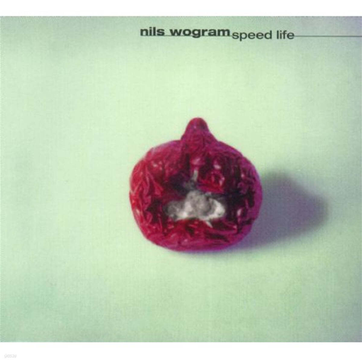 Nils Wogram Quartet (닐스 보그람 쿼텟) - Speed Life